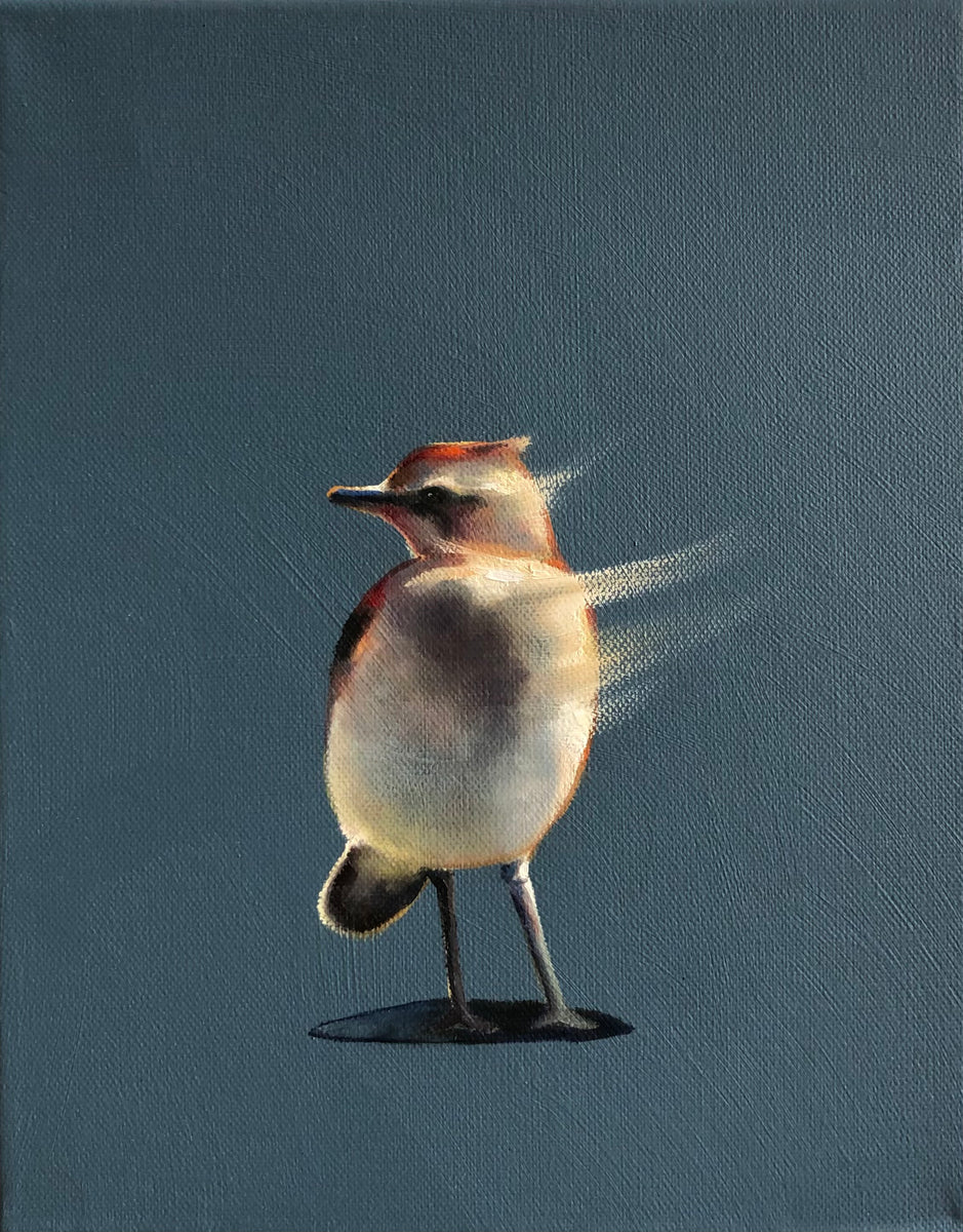 Die rote Zora – Franz Ulrich Göttlicher Die rote Zora – Franz Ulrich Göttlicher