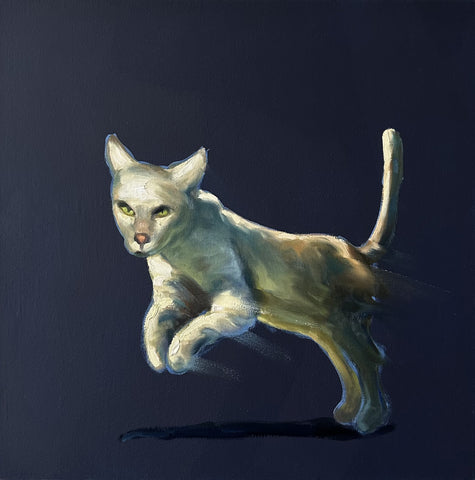 Kimba, der weiße Stadt-Löwe!